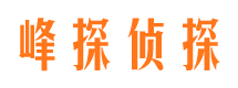 天心市私家侦探